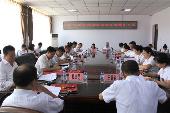 第六代表团_副本