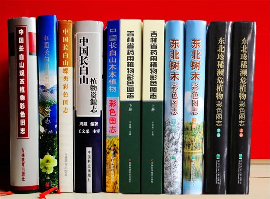 11本专著