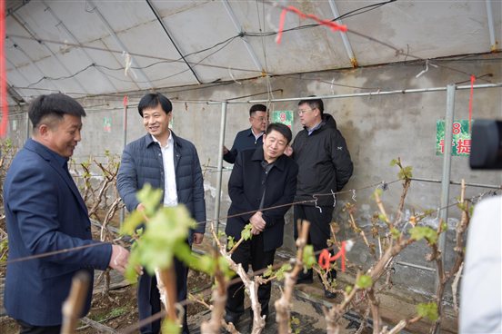 微信图片_20200410224225