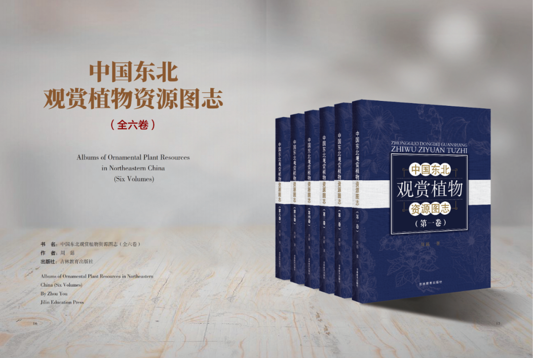 图片 1
