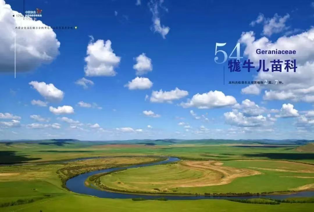 图片 2